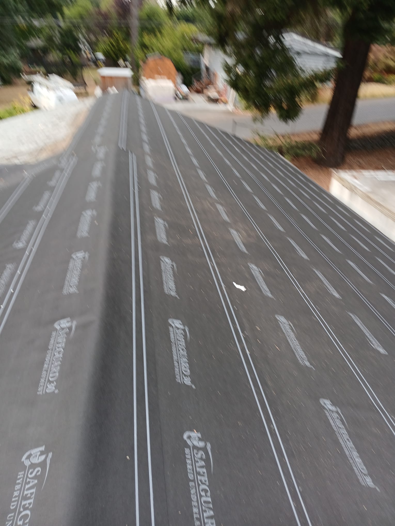 PHOTO-2026-02-25-12-30-48_7