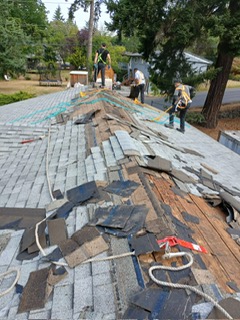 PHOTO-2026-02-25-12-30-49_3